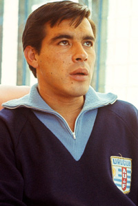 	Eliseo Álvarez 	